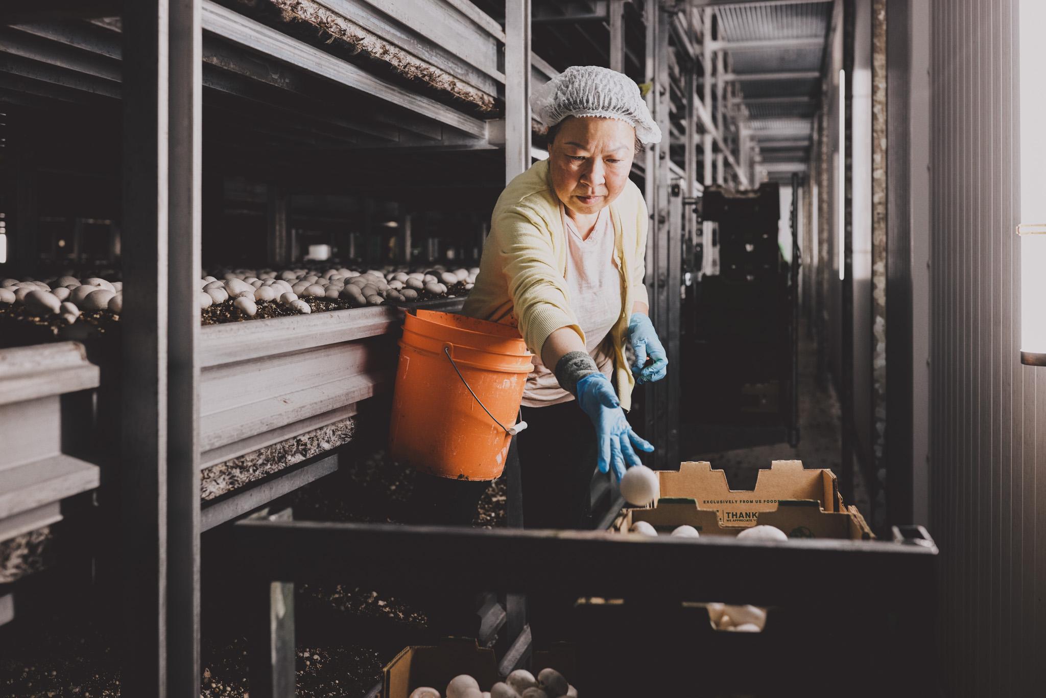 Canada's Strength - People & Talent Canada's Strength - People & Talent