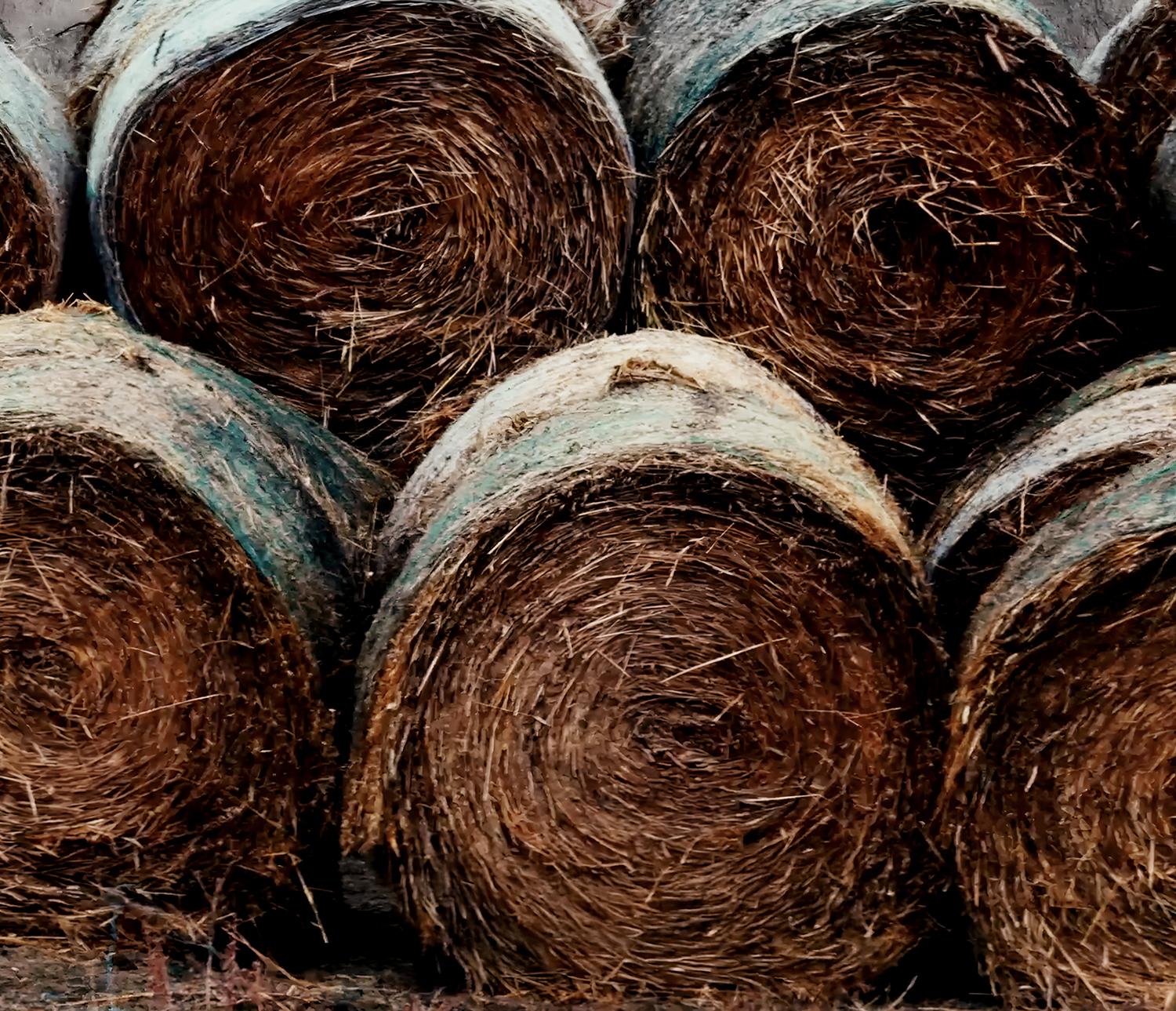 Canada's Strength - Global Performance & Potential Canada's Strength - Global Performance & Potential