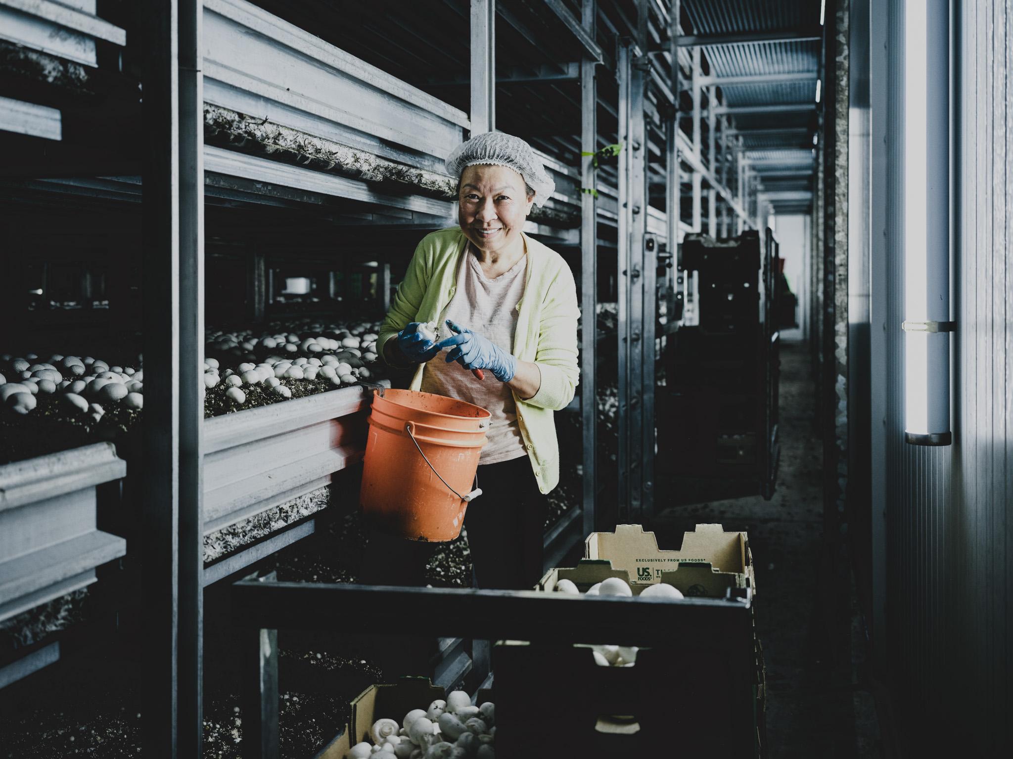 Across Canada Voices are Rising - Mushroom farm Across Canada Voices are Rising - Mushroom farm